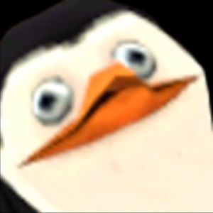 Meet your Posher, Henry